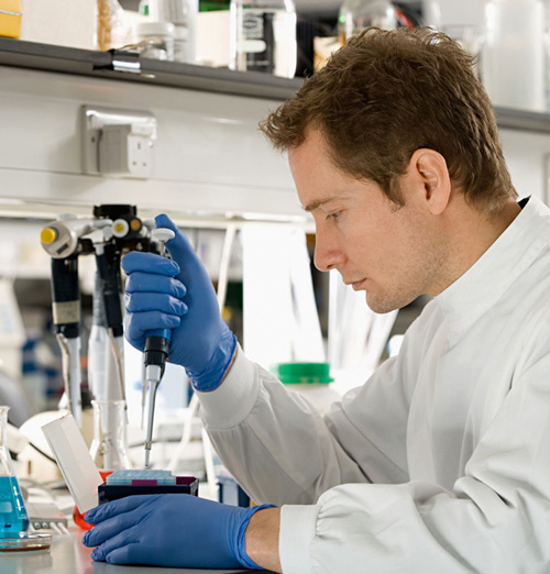 Vema Bautentrocknung GmbH - Schimmelbeseitigung Vema Bautentrocknung GmbH - Schimmelbeseitigung